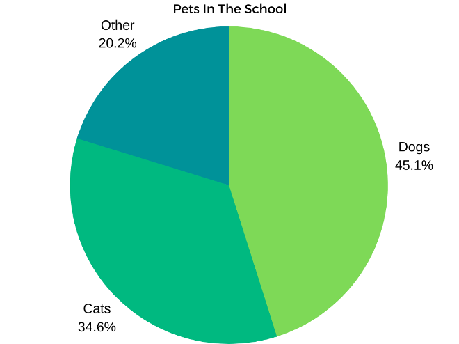 A chart showing the division of pet ownership