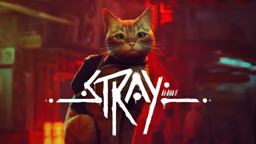 Game Review: Stray