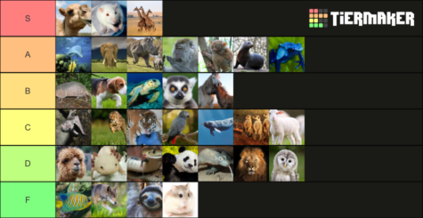 Animals Tier List